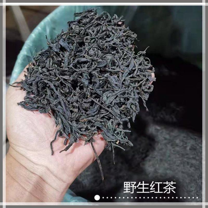 野生红茶高山正山小种浓香型咖啡奶茶店基底茶批量供应饮料商