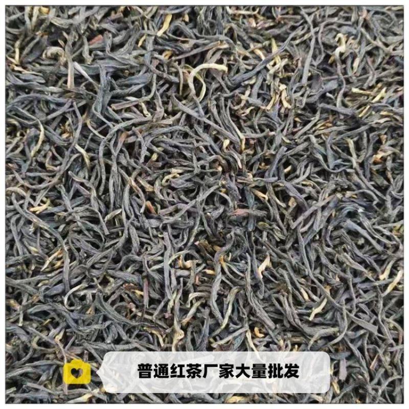 野生红茶高山正山小种浓香型咖啡奶茶店基底茶批量供应饮料商