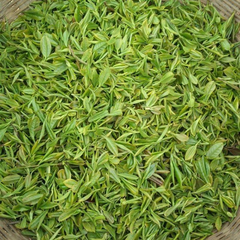 新茶叶明前高山云雾炒青春茶日照充足浓香散装茶绿茶