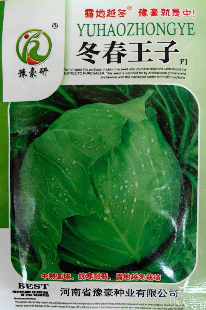 冬春王子耐寒甘蓝种子露地越冬圆球耐冻耐裂抗病甘蓝包菜种子