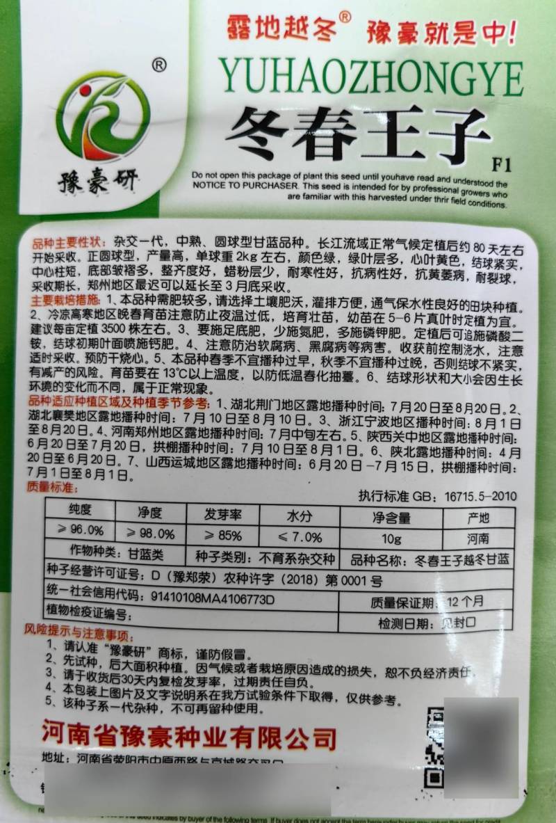 冬春王子耐寒甘蓝种子露地越冬圆球耐冻耐裂抗病甘蓝包菜种子
