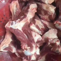 郯润前腿骨