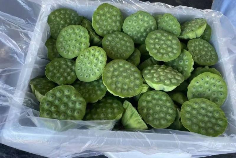 新鲜精品莲蓬