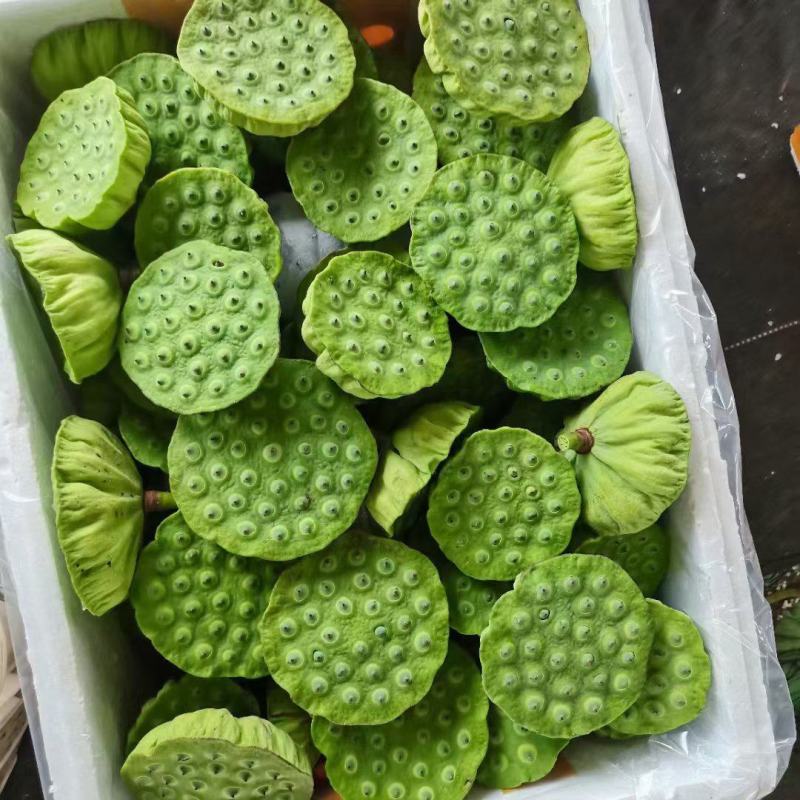 新鲜水果莲蓬