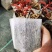 无纺布育苗袋加厚种植袋果蔬种植袋营养钵植树袋厂家苗莆