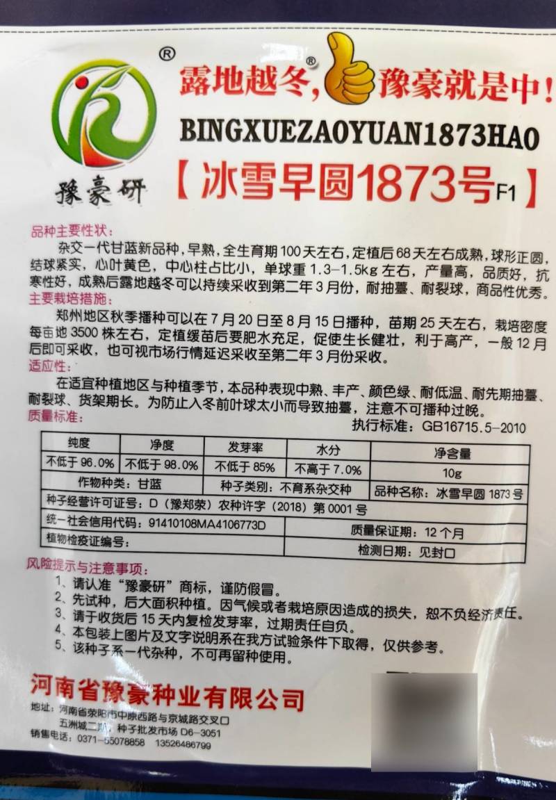耐寒越冬甘蓝种子冰雪早圆1873号露地绿球耐冻春冬甘蓝