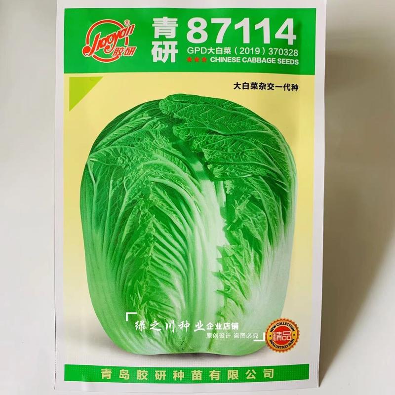 青研87114大白菜种子抗三大病害品质优良秋季结球白菜种
