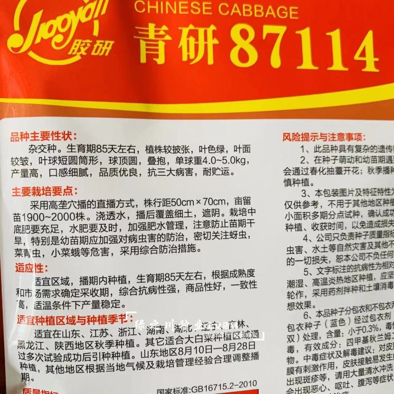 青研87114大白菜种子抗三大病害品质优良秋季结球白菜种