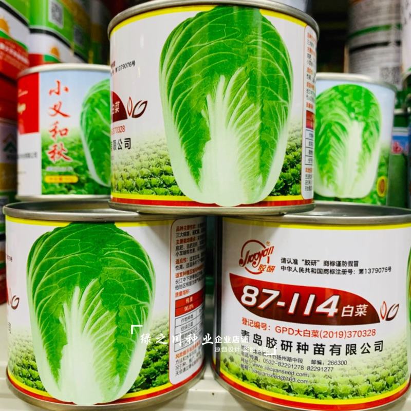 青研87114大白菜种子抗三大病害品质优良秋季结球白菜种