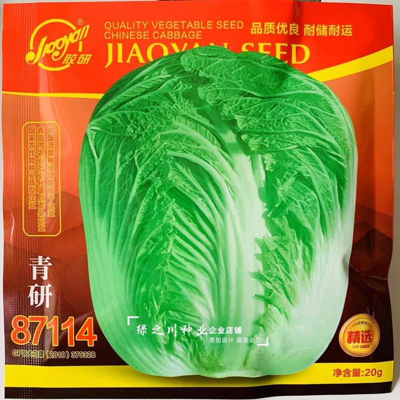 青研87114大白菜种子抗三大病害品质优良秋季结球白菜种