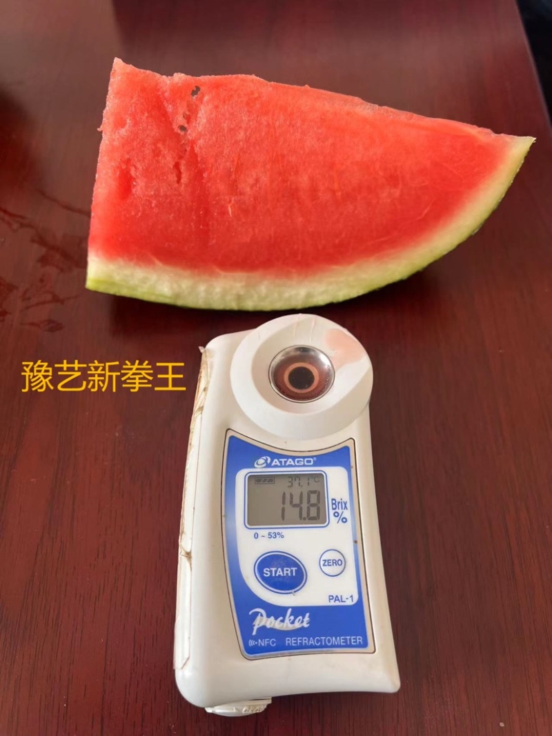 豫艺新拳王西瓜种子大红瓤籽少黑皮西瓜种子