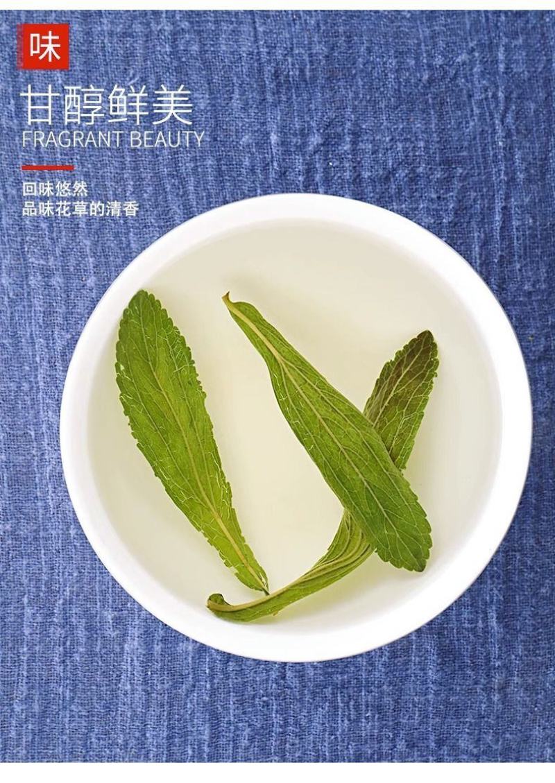 精选甜叶菊茶正品天然甜叶菊叶新货优选甜叶菊泡水泡茶喝花草