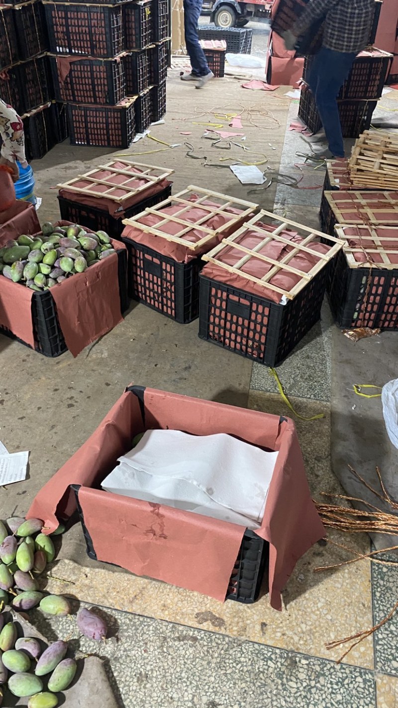海南产地，贵妃芒，小果电商货，可代发整车、物流、快递
