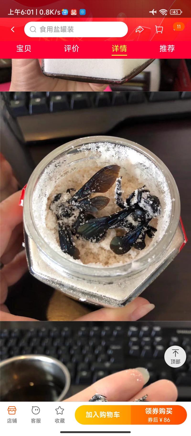 泡盐竹蜂咸竹蜂批发价格优惠