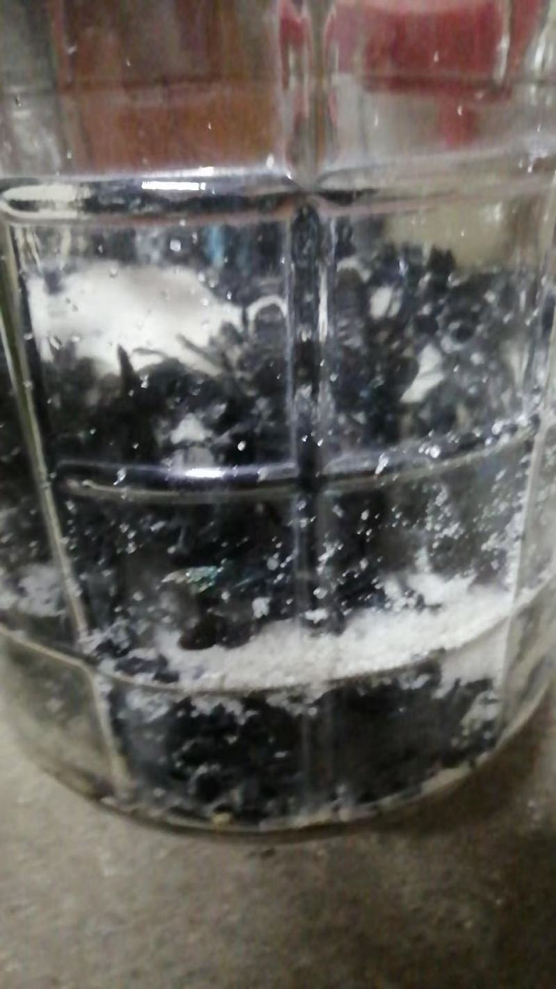 泡盐竹蜂咸竹蜂批发价格优惠