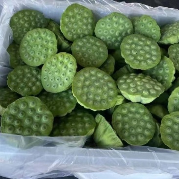 新鲜水果莲蓬
