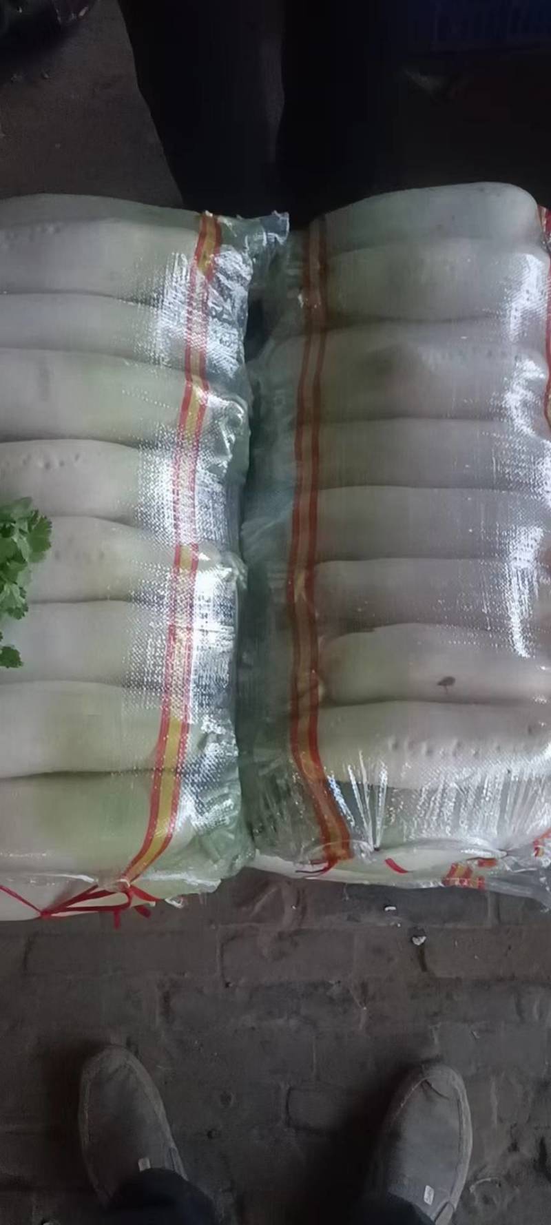陕西省水果萝卜，青头萝卜大量供应，对接市场，商超，电商，