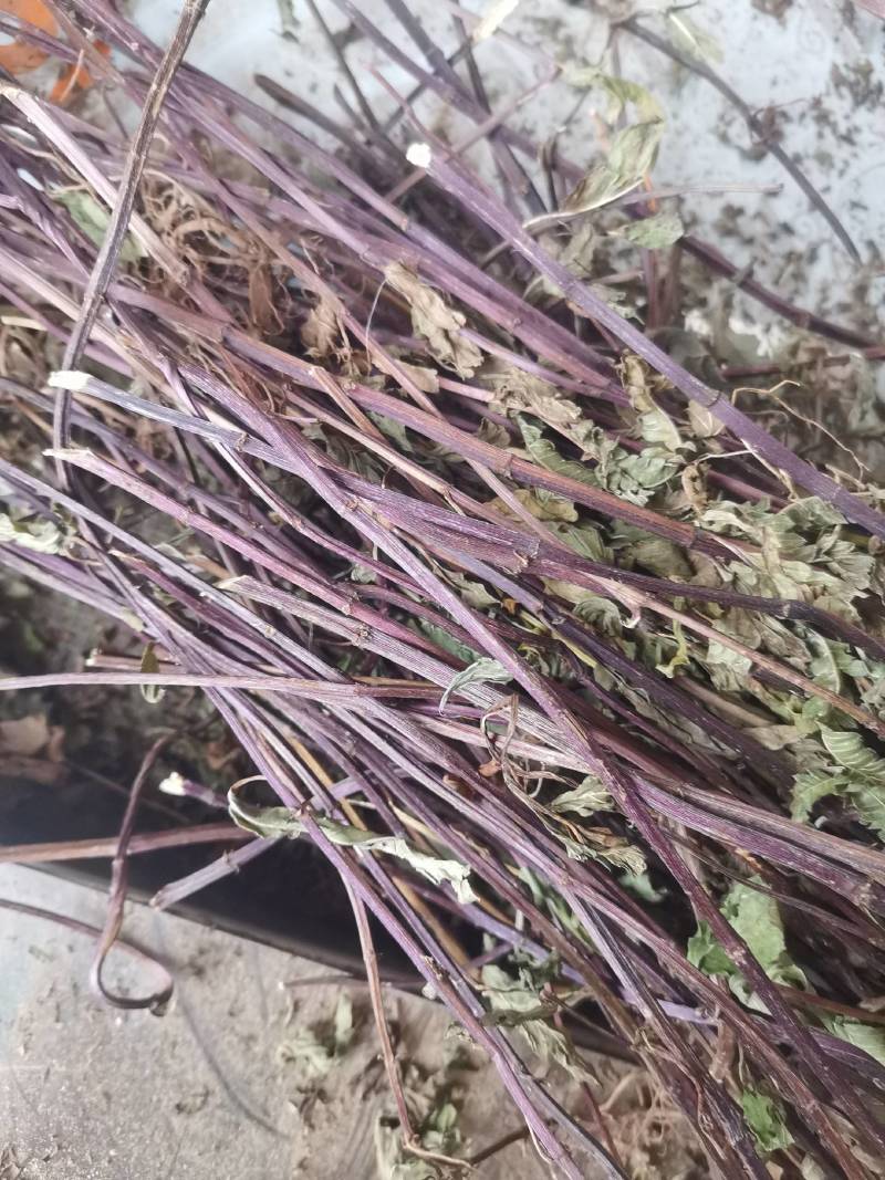 薄荷，四川野生红杆薄荷，选杂切段，叶多香味浓郁