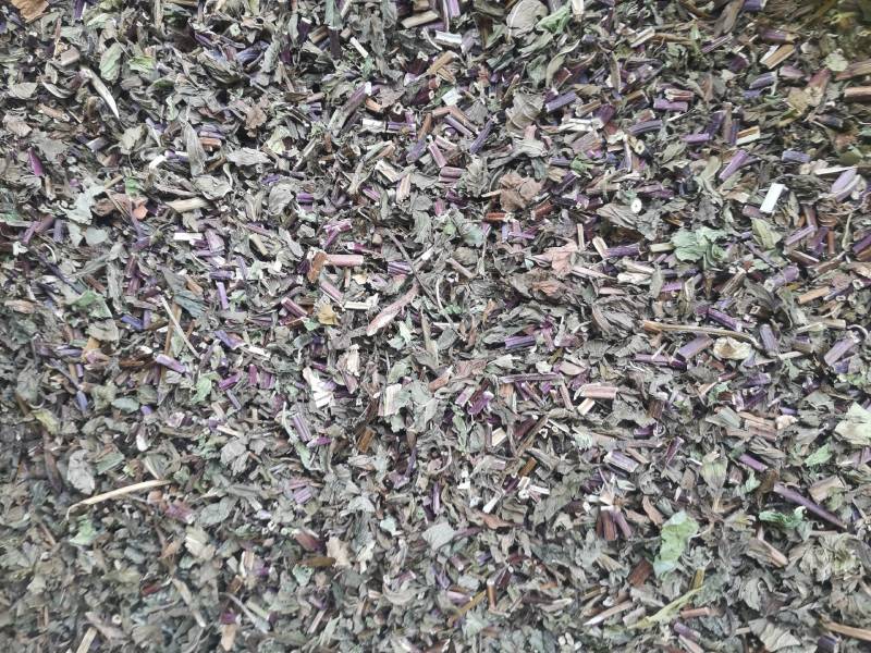 薄荷，四川野生红杆薄荷，选杂切段，叶多香味浓郁