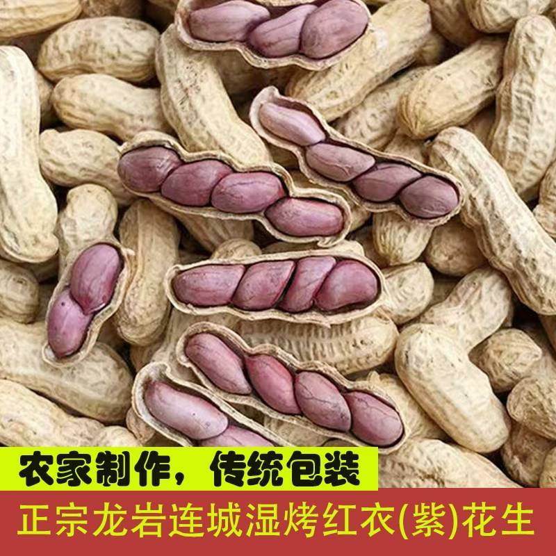 【一件代发】谢村长龙岩精制湿烤红衣花生连城红衣紫衣花生四
