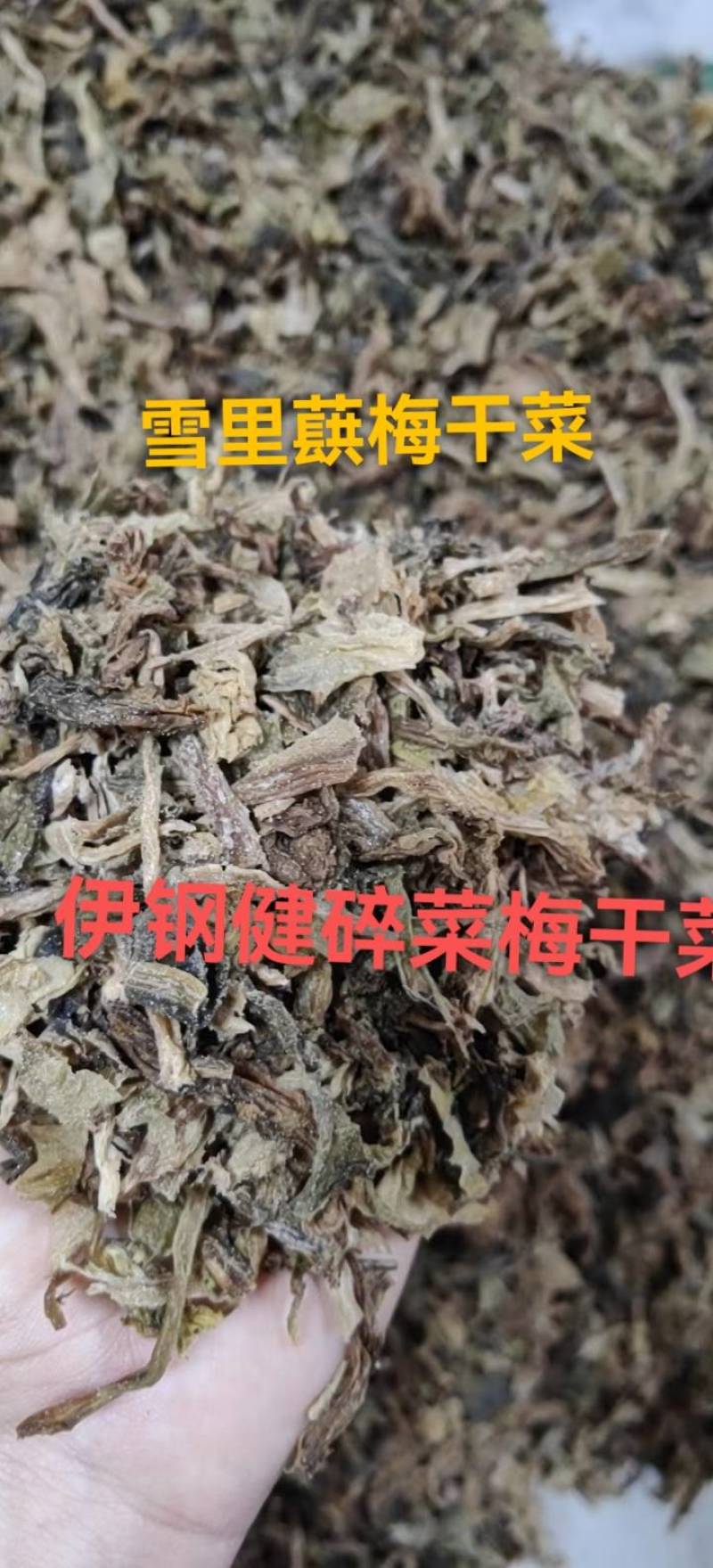 慈溪余姚优质雪里蕻梅干菜碎菜切碎做包子做扣肉做饼