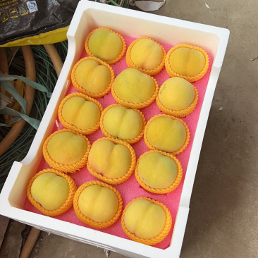 精品黄玫瑰黄桃寻求客户合作