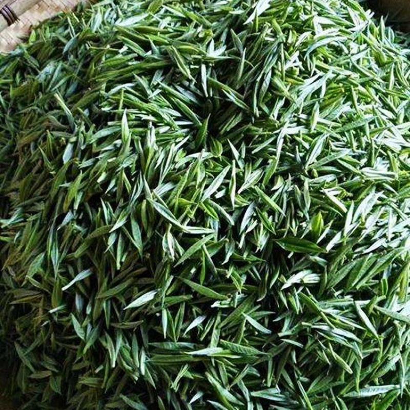 批量提供乌龙茶原味浓香茶醇厚奶茶原料黄金龙茶叶散茶