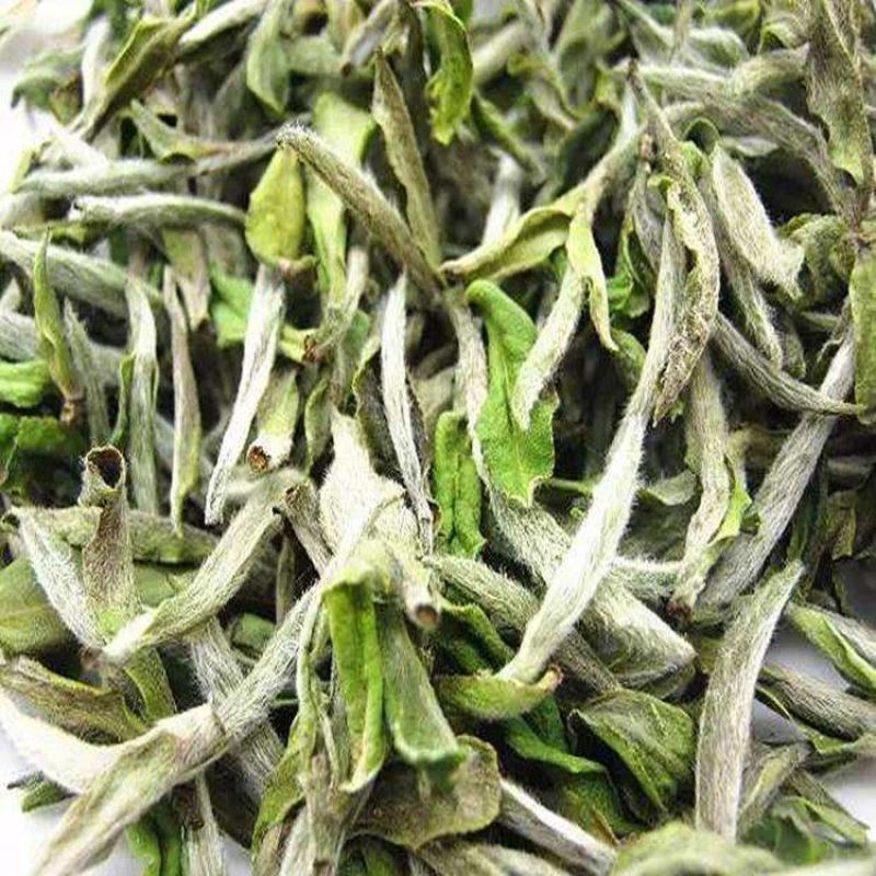 茶厂政和老白散茶高山寿眉散装茶枣香奶茶茶原料耐泡贡眉茶叶