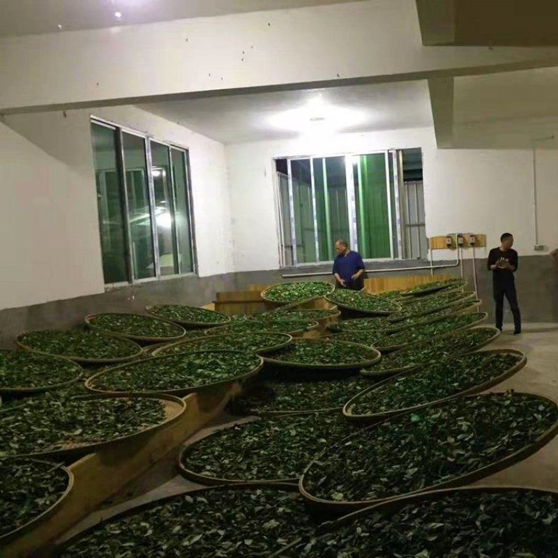 茶叶厂批量供应桂圆香蜜香红茶奶茶饮品茶底原料碎茶散装