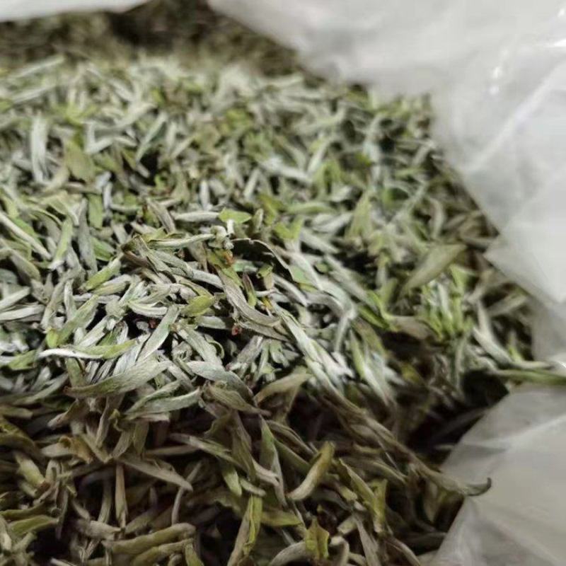 茶叶厂研发生产销售一条龙大量供应散茶绿茶生物科技配方茶包