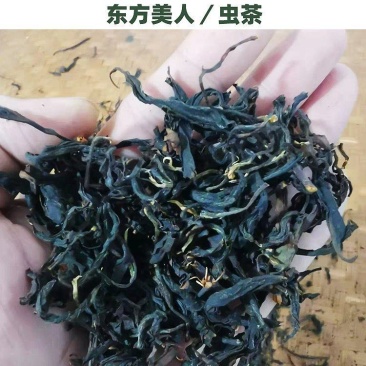 供应贸易商高山茶叶东方美人茶虫茶礼盒白毫乌龙茶花香批发