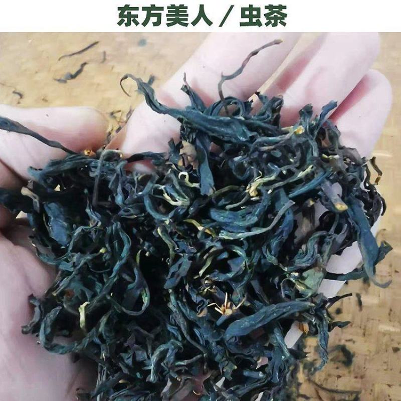 供应贸易商高山茶叶东方美人茶虫茶礼盒白毫乌龙茶花香批发