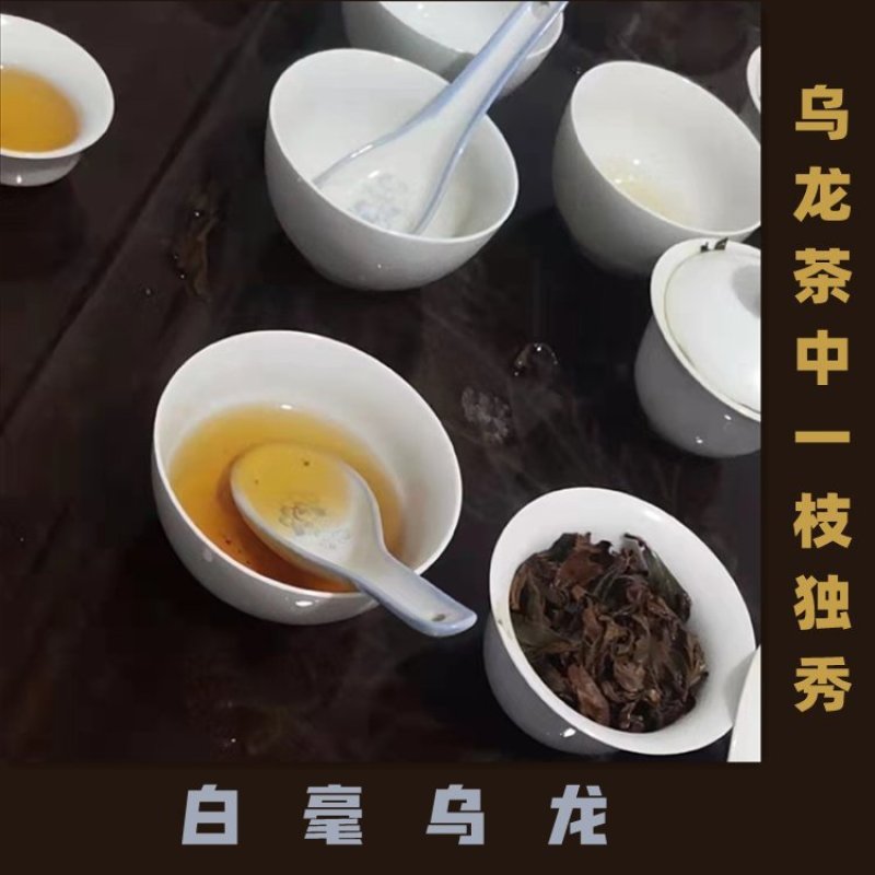 供应贸易商高山茶叶东方美人茶虫茶礼盒白毫乌龙茶花香批发