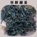供应贸易商高山茶叶东方美人茶虫茶礼盒白毫乌龙茶花香批发