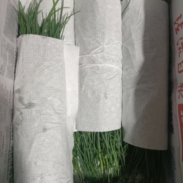 沙葱，电商货，产地直销，厂家直发，欢迎大家选购，大量批发