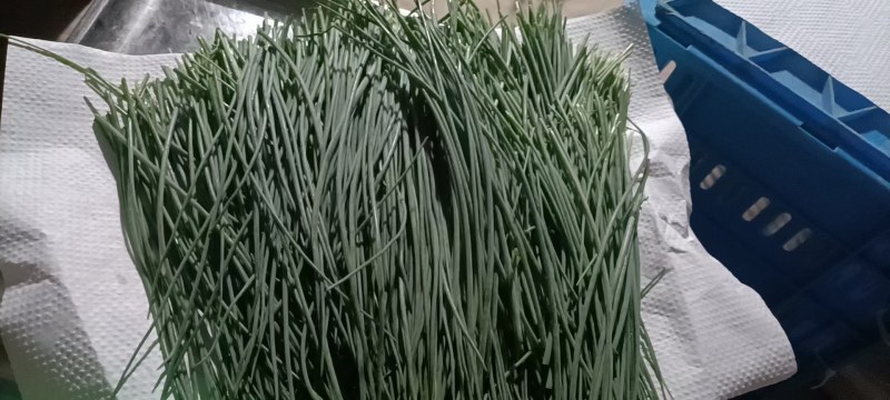 沙葱，电商货，产地直销，厂家直发，欢迎大家选购，大量批发