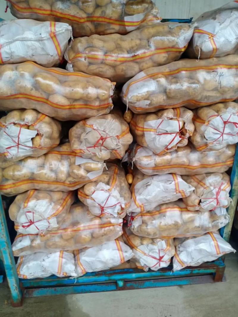 滕州水洗精品高次食堂货，大量现货