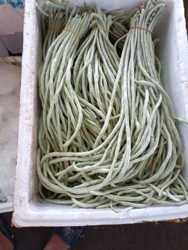 白豆角收一字头了