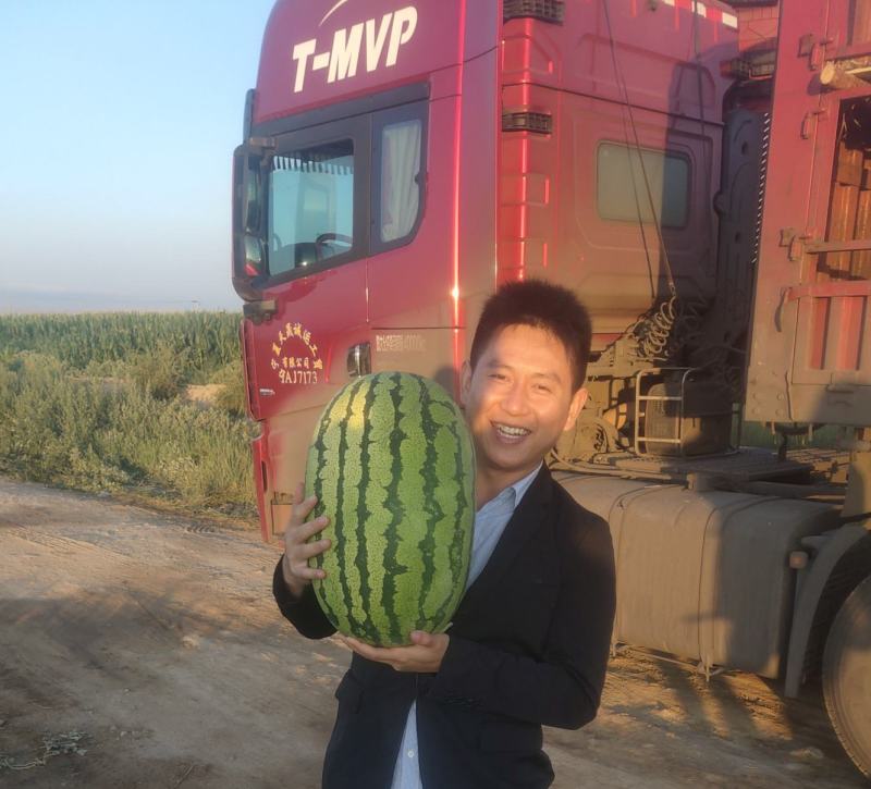 宁夏石头瓜，石缝瓜，硒砂瓜，双红金城，康乐六号一手货源