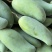 攀枝花金皇芒果