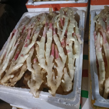 18妹苗条身材大长腿