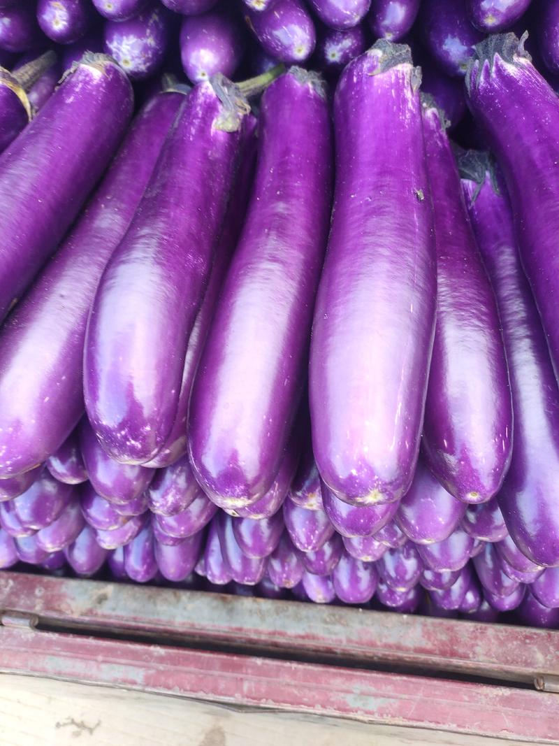 紫长茄，大量上市