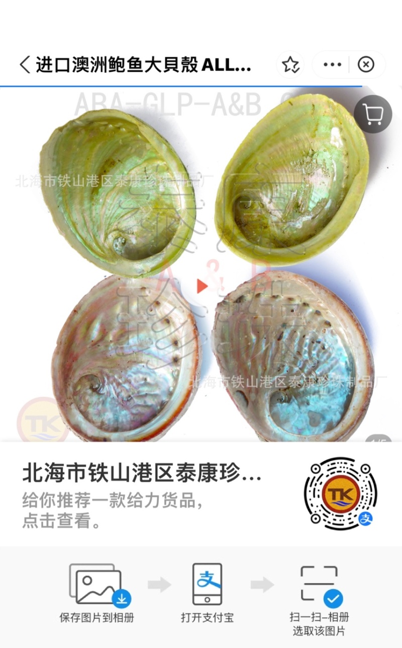 澳洲鲍鱼壳少量供应