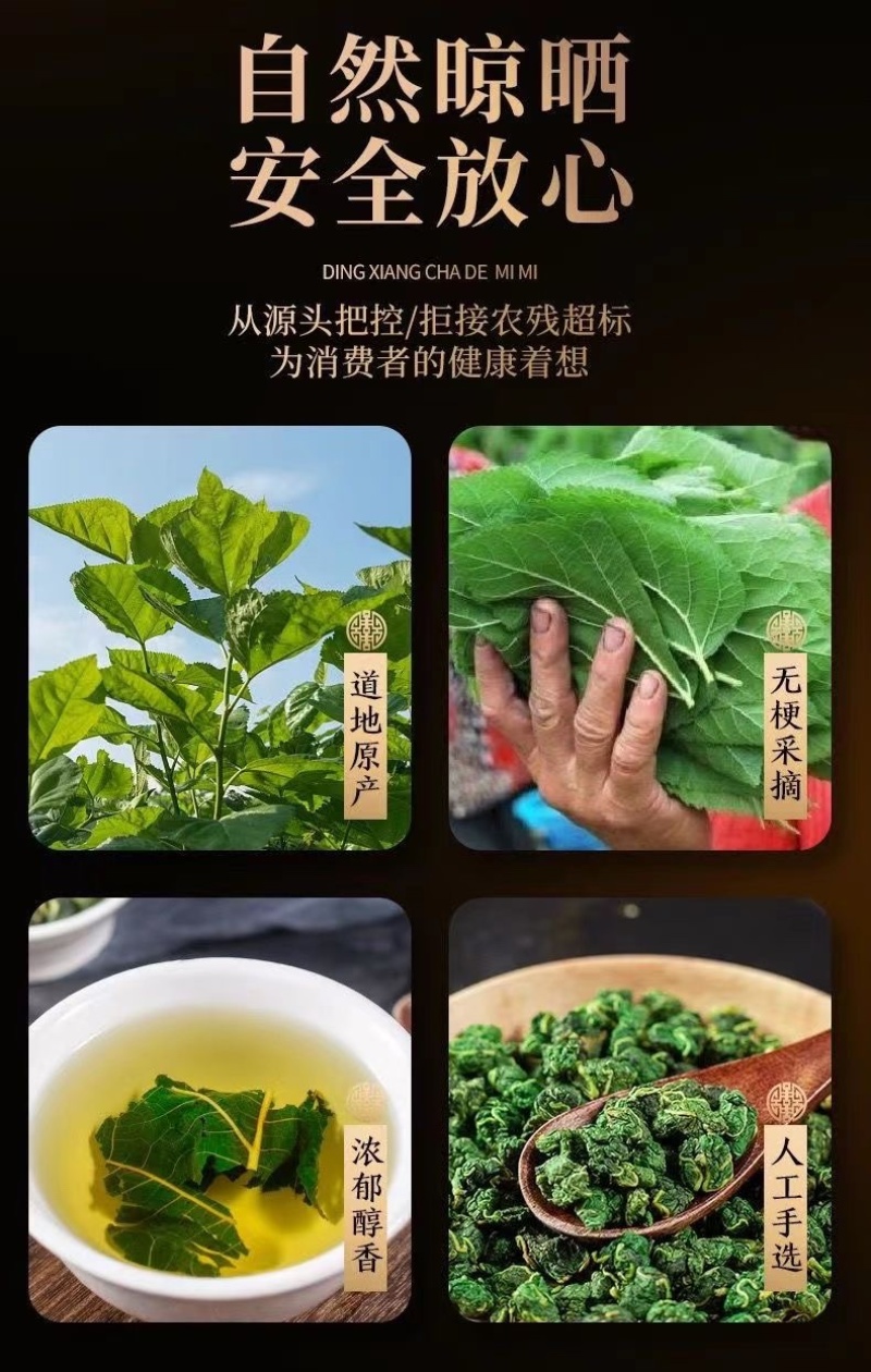 桑叶茶霜后桑叶颜色青茶厂批发价货源充足量