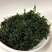 小叶苦丁茶新货正宗小叶苦丁茶叶青山绿水嫩芽苦丁茶花草茶