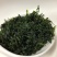 小叶苦丁茶新货正宗小叶苦丁茶叶青山绿水嫩芽苦丁茶花草茶