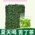小叶苦丁茶新货正宗小叶苦丁茶叶青山绿水嫩芽苦丁茶花草茶