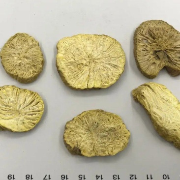 金果榄