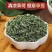 新鲜薄荷叶薄荷茶天然薄荷清凉茶薄荷叶干泡茶泡水清新口