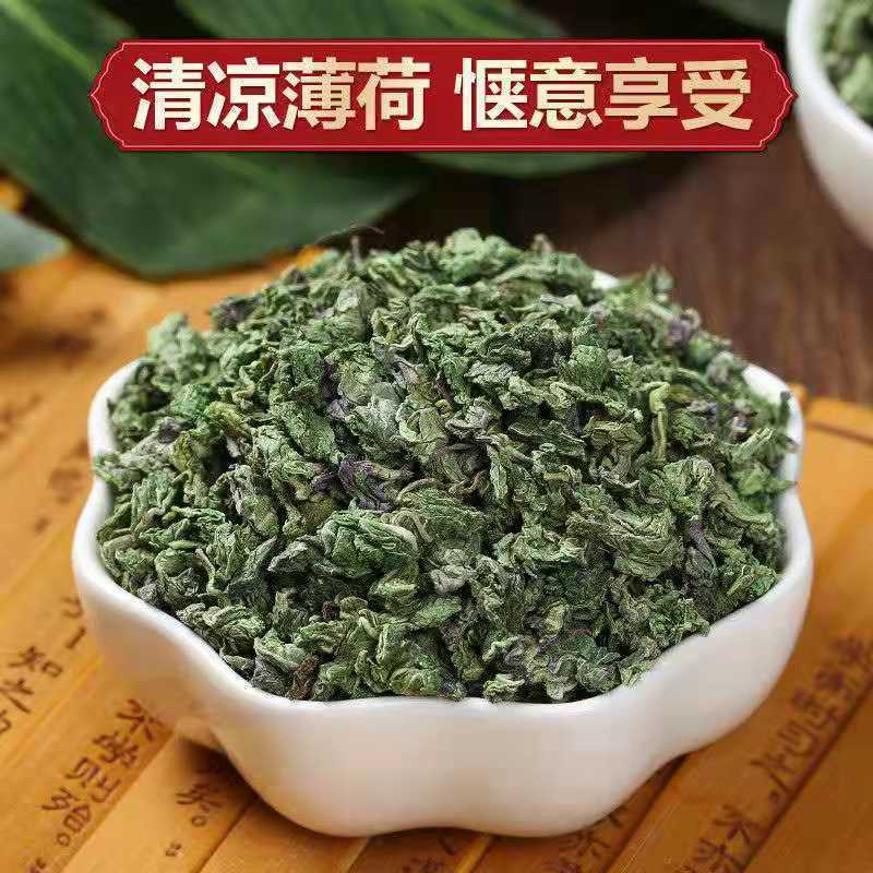 新鲜薄荷叶薄荷茶天然薄荷清凉茶薄荷叶干泡茶泡水清新口